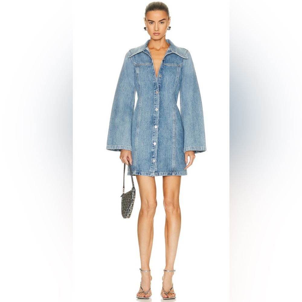 Citizens of Humanity denim dress